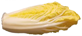 娃娃菜免抠摄影元素素材 