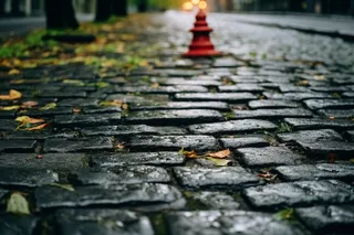 雨过后的石板路苔藓摄影图