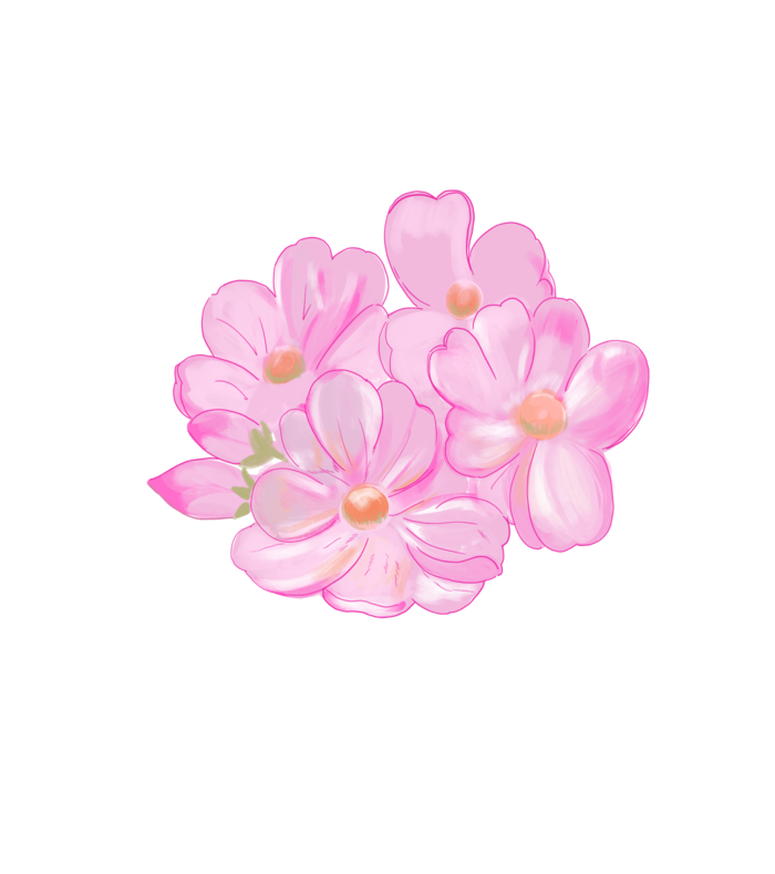 春天浪漫粉红色樱花手绘樱花梅花桃花花朵图片PNG免扣素材