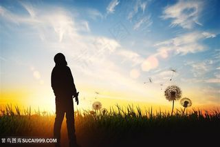 仰望天空人物剪影蒲公英