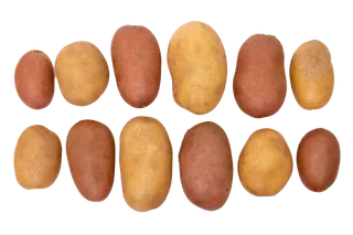 土豆 (15)超市商品白底图免抠实物摄影png格式图片透明底