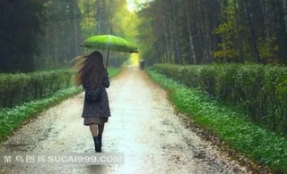 打伞走在树林小道上的美女背影