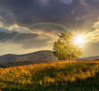 雨后的彩虹架在辽阔的大草原