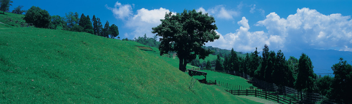 J147-67-大幅风景94