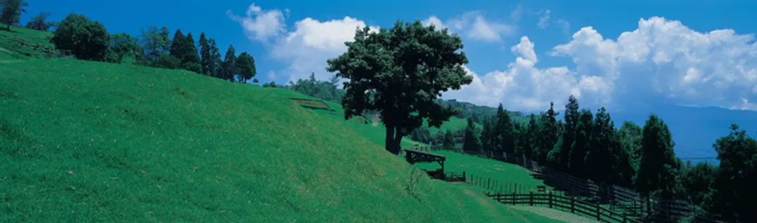 J147-67-大幅风景94