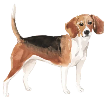 狗狗水彩画插画免扣素材可爱宠物狗