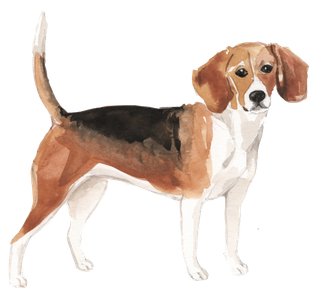 狗狗水彩画插画免扣素材可爱宠物狗