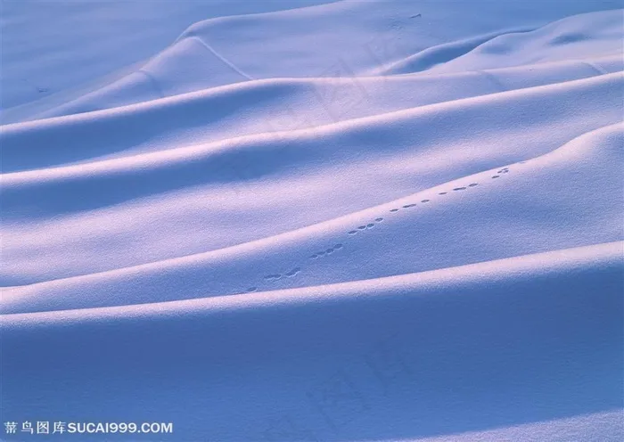 漂亮雪景-起伏的雪地