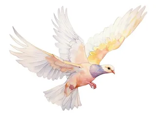 白鸽建军节元素