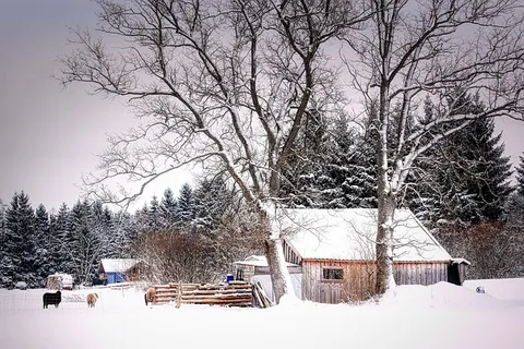 冬天白雪背景风景 冬天白雪背景风景
