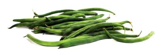 绿豆 PNG免抠(700x241)