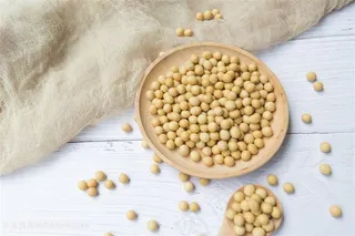 五谷大豆黄豆杂粮食材农产品