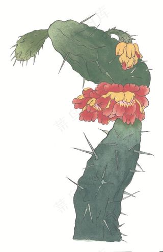 瓜果蔬菜鱼虾蟹大图摄影图片