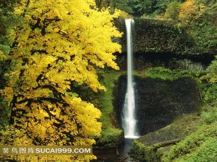 瀑布风景摄影图片