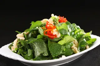 L02268鲜菊食香菜 (2)