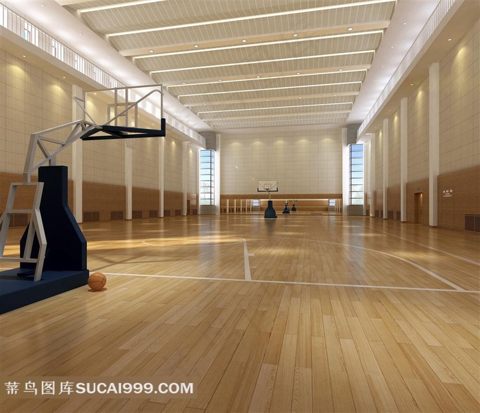 高档室内篮球馆