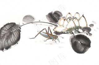 昆虫花草大图美图素材