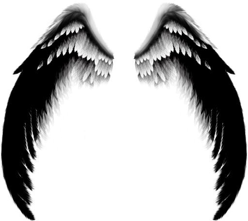 翅膀 PNG免抠(2440x2180)