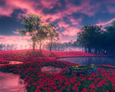 背景-粉色-云-树-背景-海报-壁纸