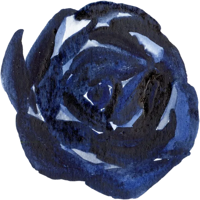海军蓝金线水彩花卉素材
