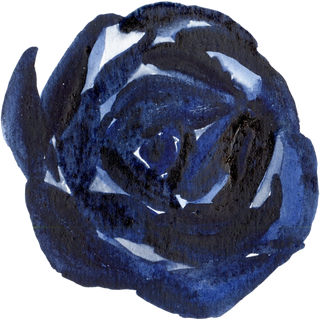 海军蓝金线水彩花卉素材