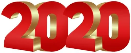 2020 年 PNG免抠(600x246)