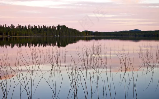 风景 景观 夕阳 黄昏 航拍风景 森林 大树