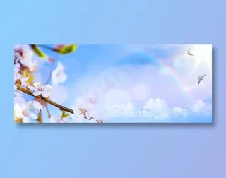 蓝天下盛开的桃花高清图片