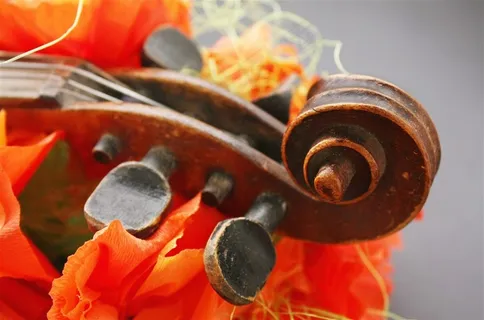 做工精良的小提琴