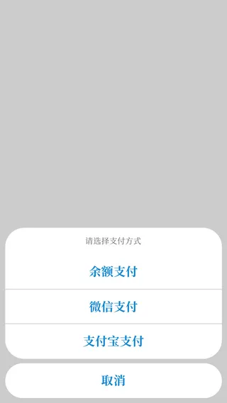 白色简约选择支付方式弹窗支付弹窗