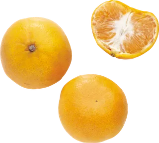 橘子免抠素材 (33)