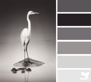 动物配色色卡色彩搭配