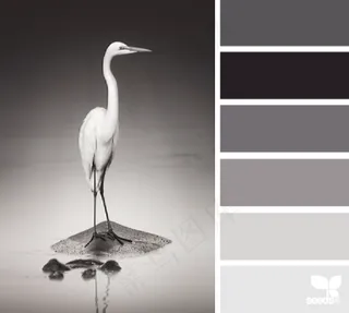 动物配色色卡色彩搭配