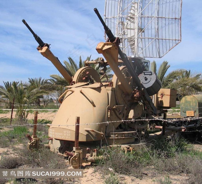 草地上的双联高射炮