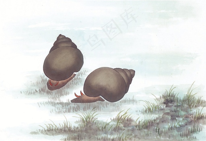 国画鱼虾蟹龟美图素材