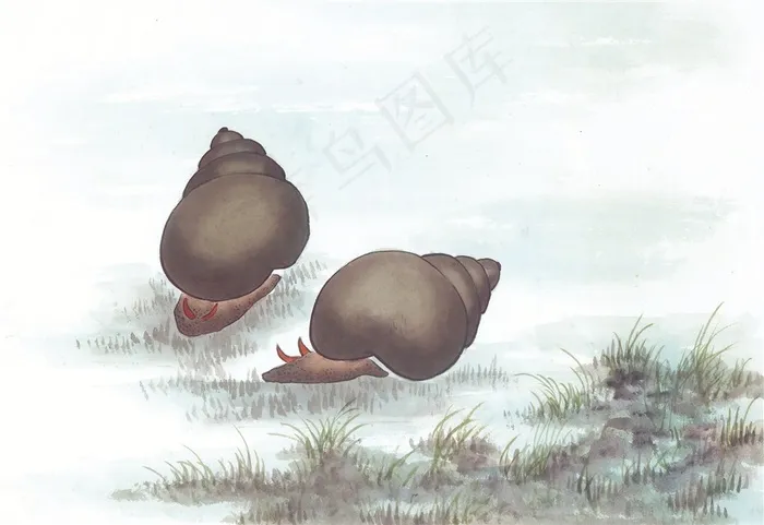 国画鱼虾蟹龟美图素材