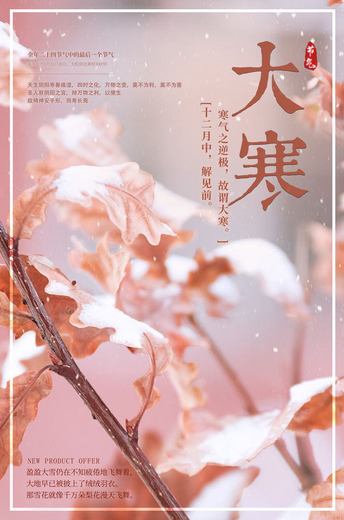 24二十四节气传统节日大寒宣传活动海报插画合集psd设计素材模板psd模版下载