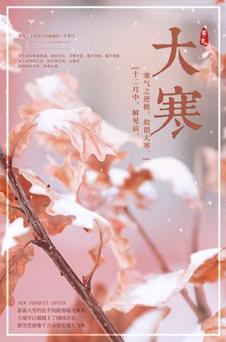 24二十四节气传统节日大寒宣传活动海报插画合集psd设计素材模板