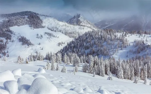 白雪皑皑的森林风景图片 白雪皑皑的森林风景图片