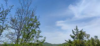 树木山蓝天白云