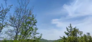 树木山蓝天白云