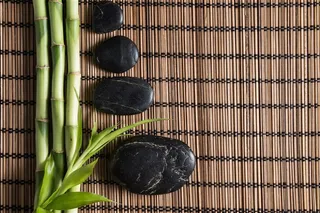 竹子和几块黑石头