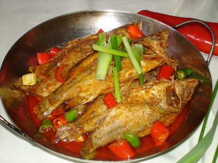 0218洞庭湖桂鱼仔