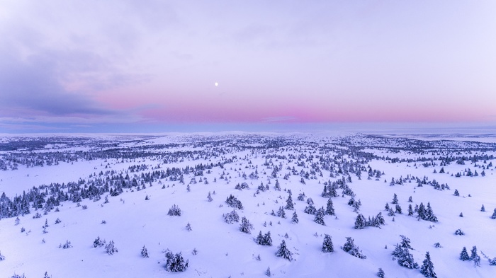 冬天白雪风景背景