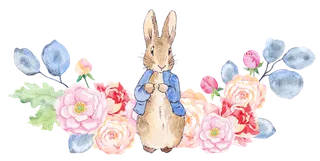兔子花朵卡通