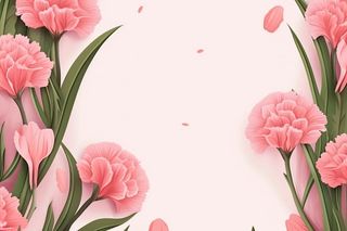 简约粉色康乃馨插画背景