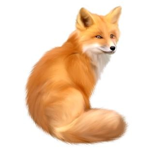 狐狸 PNG免抠(320x320)