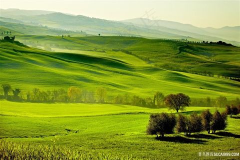 绿色草原风景图片 绿色草原风景图片
