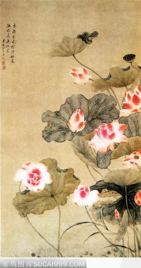 水墨画—荷花