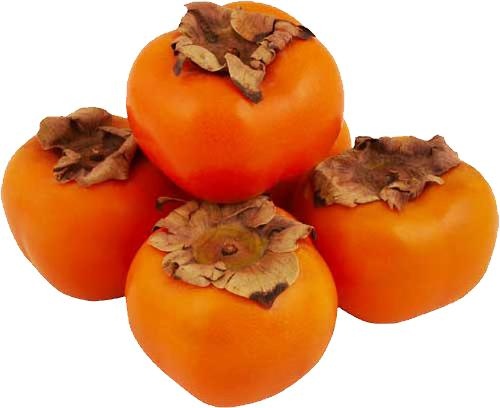 柿子 PNG免抠(500x408)